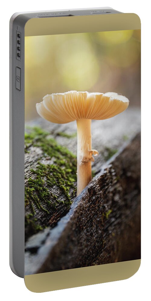 Fungus Portable Battery Charger featuring the photograph Fun Guy Log by Grant Twiss