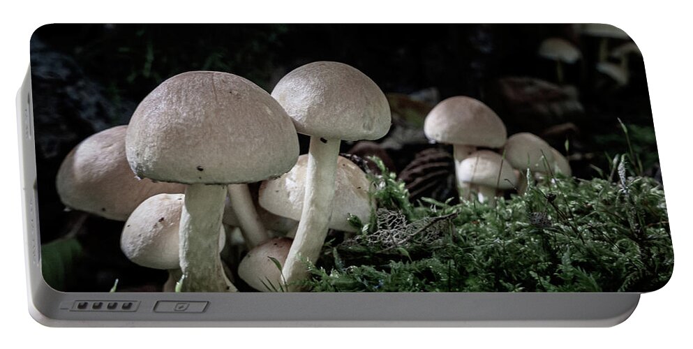 Fungi Portable Battery Charger featuring the photograph Fungi by Andreas Levi