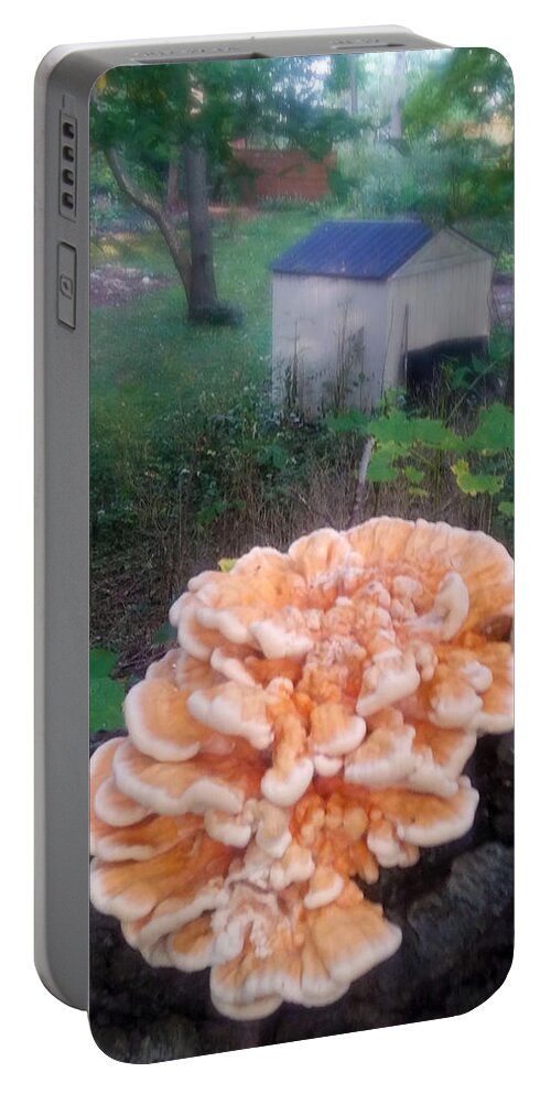 Fungus Portable Battery Charger featuring the photograph Fungus Flower by Eileen Backman