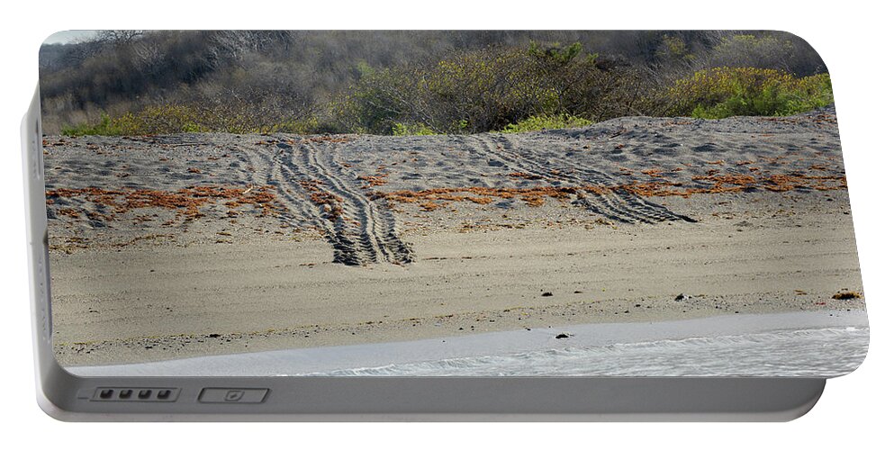 Republic Of Ecuador Portable Battery Charger featuring the photograph Galapagos green turtle, Chelonia mydas agassisi, tracks on nesting beach, Urbina Bay, Isabela Island, Galapagos Islands, Ecuador by Kevin Oke