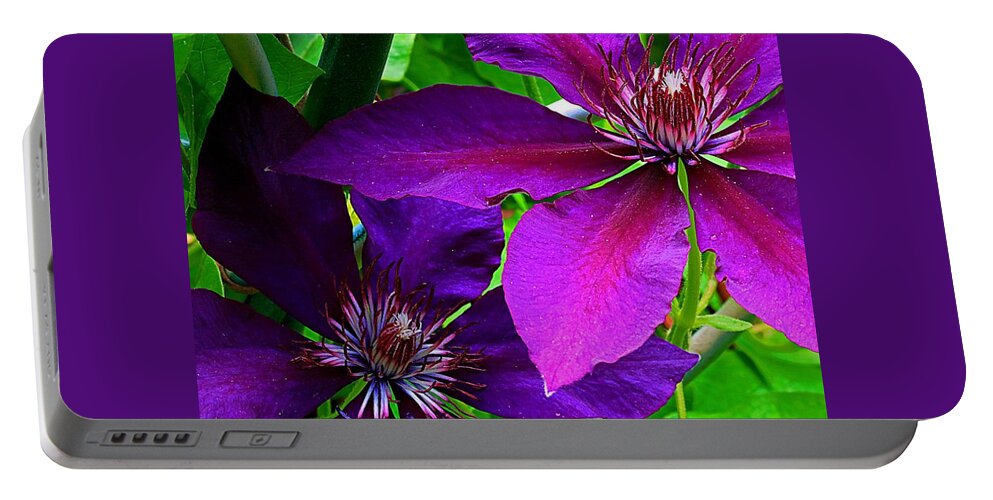 Nature Portable Battery Charger featuring the photograph Garden Flowers by Steve Warnstaff