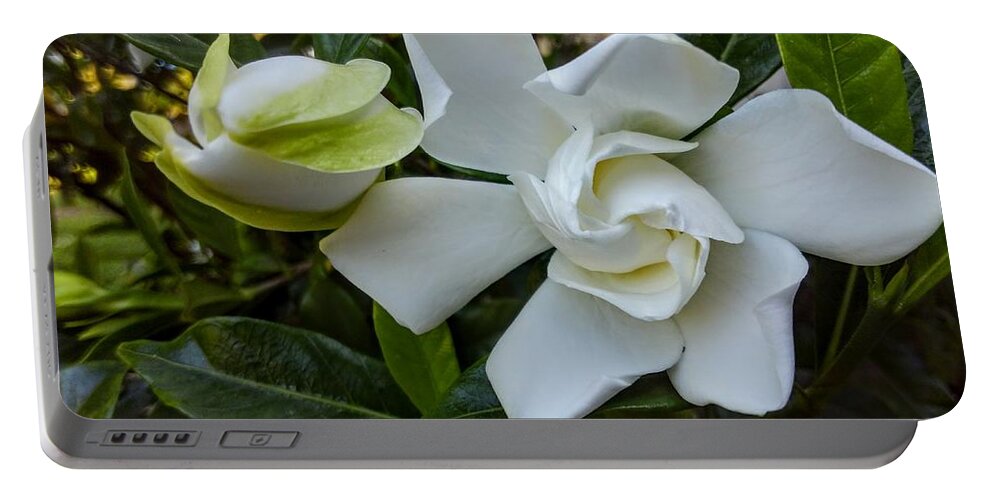  Portable Battery Charger featuring the photograph Gardenias by Heather E Harman