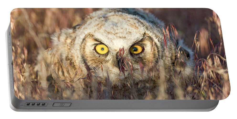 Owl Portable Battery Charger featuring the photograph Incognito #1 by Scott Warner