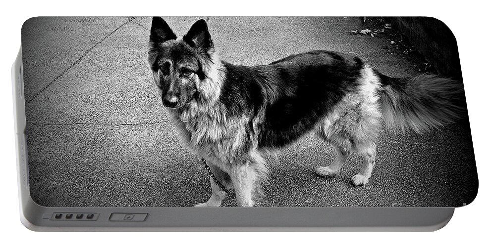 Animal Portable Battery Charger featuring the photograph Gatekeeper - King Shepherd Dog by Frank J Casella