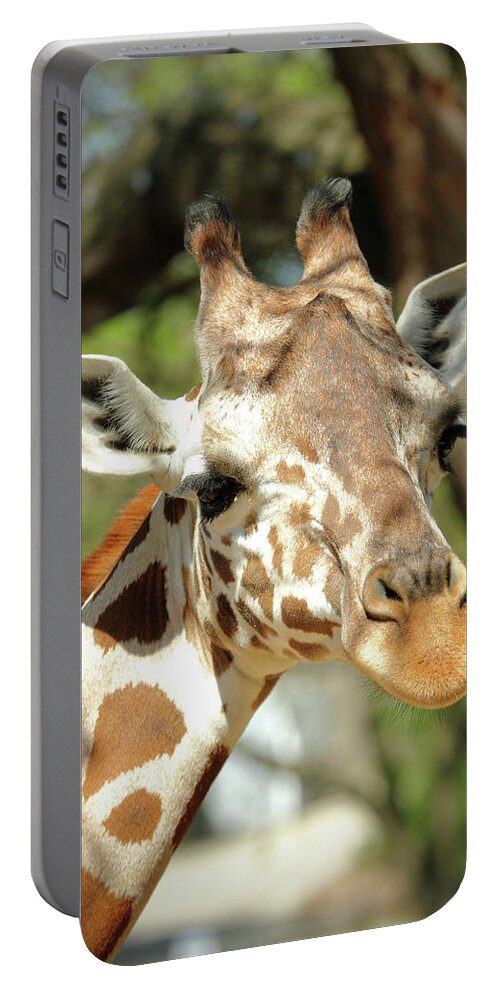 Animal Portable Battery Charger featuring the photograph Gentle Giant by Lens Art Photography By Larry Trager
