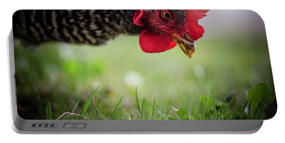  Portable Battery Charger featuring the photograph Gentle Hen by Nicole Engstrom