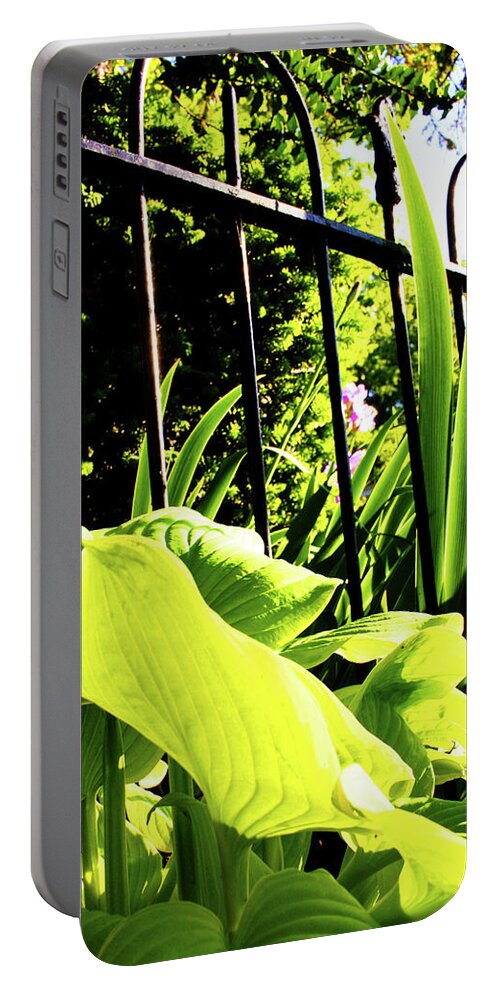 Nature Portable Battery Charger featuring the photograph Georgetown Spring No. 1 by Steve Ember