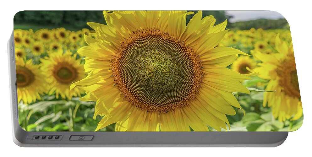 2017 Portable Battery Charger featuring the photograph Georgia Sunflowers #2 by David R Robinson