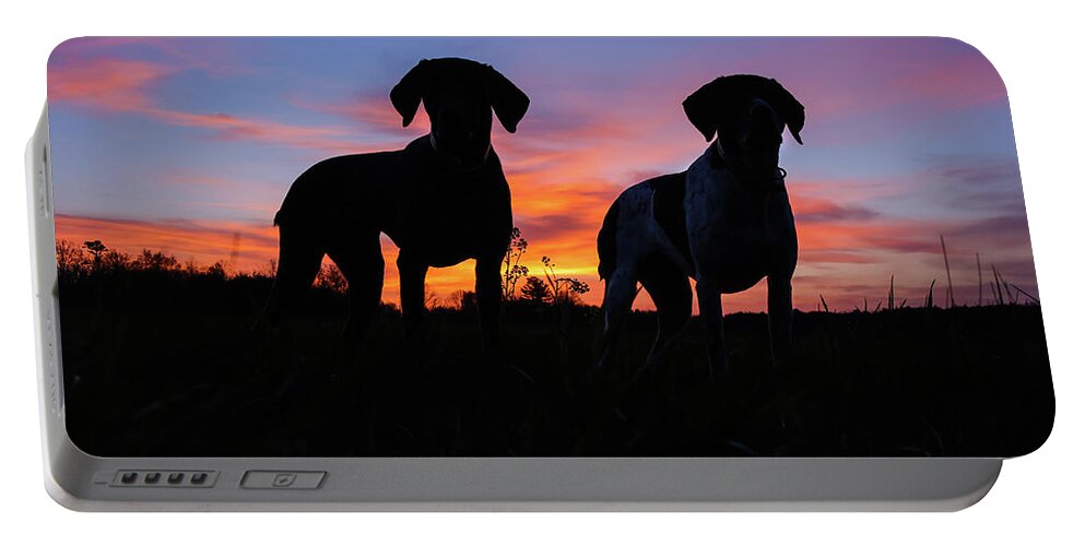 German Shorthaired Portable Battery Charger featuring the photograph German Shorthaired Pointers by Brook Burling