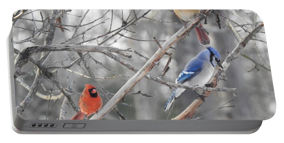 Cardinals Portable Battery Charger featuring the photograph Getting Along by Eunice Miller