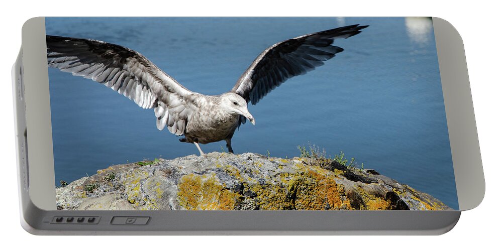 Seagull Portable Battery Charger featuring the photograph Getting Ready for Takeoff by Kristin Hatt