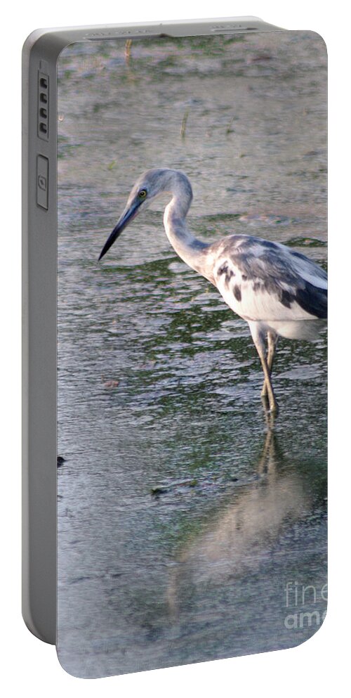 Juvenile Little Blue Heron Portable Battery Charger featuring the photograph Getting There by Hilda Wagner