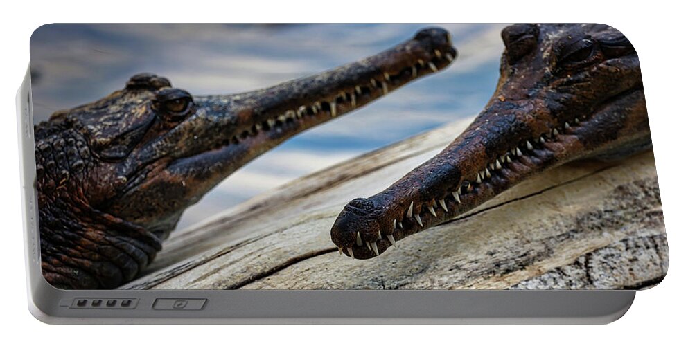 Gharial Portable Battery Charger featuring the photograph Gharials Chilling by Rene Vasquez