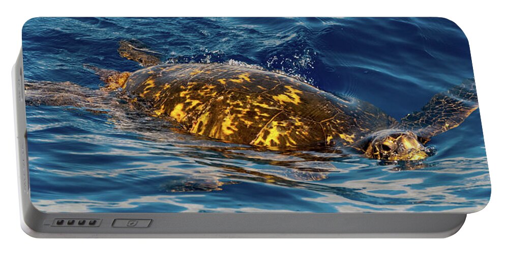 Kauai Portable Battery Charger featuring the photograph Giant Green Turtle. by Doug Davidson