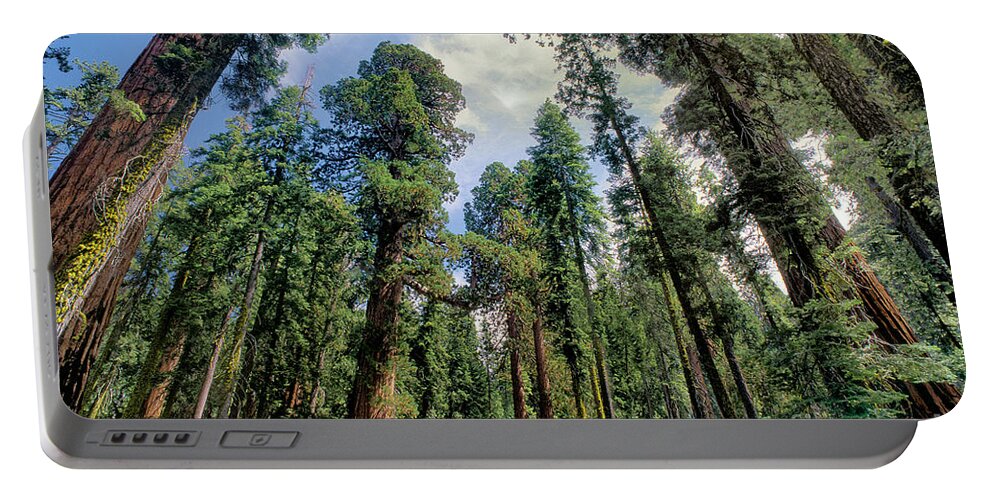 Dave Welling Portable Battery Charger featuring the photograph Giant Sequoias Sequoiadendron Gigantium Yosemite by Dave Welling