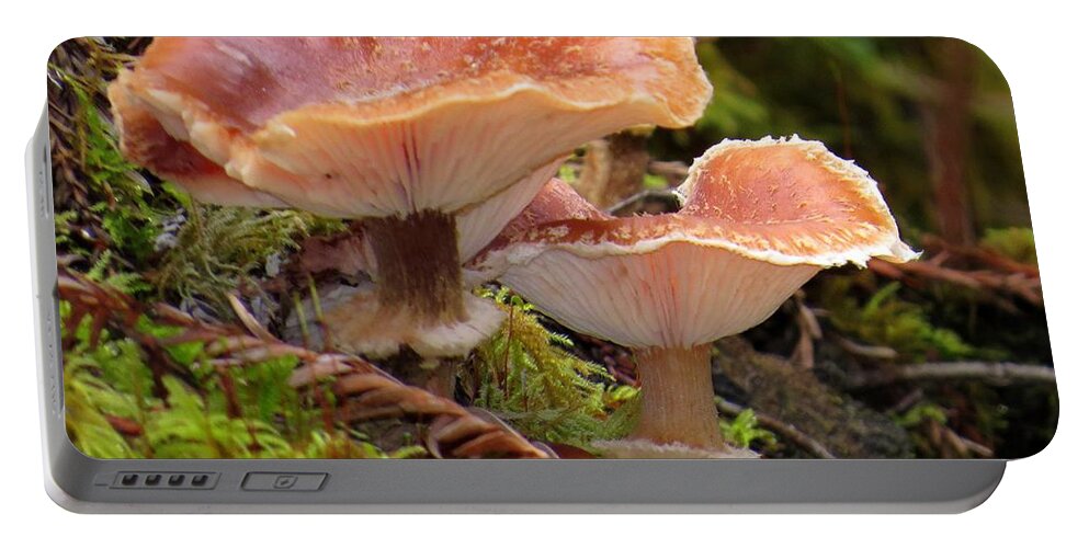 Gilled Portable Battery Charger featuring the photograph Gilled And Ringed Mushrooms by Linda Vanoudenhaegen