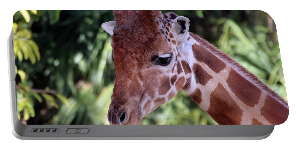 Face To Face Portable Battery Charger featuring the photograph Giraffe Face to Face by David T Wilkinson