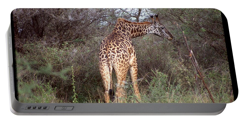 Africa Portable Battery Charger featuring the photograph Giraffe in Forest by Russel Considine