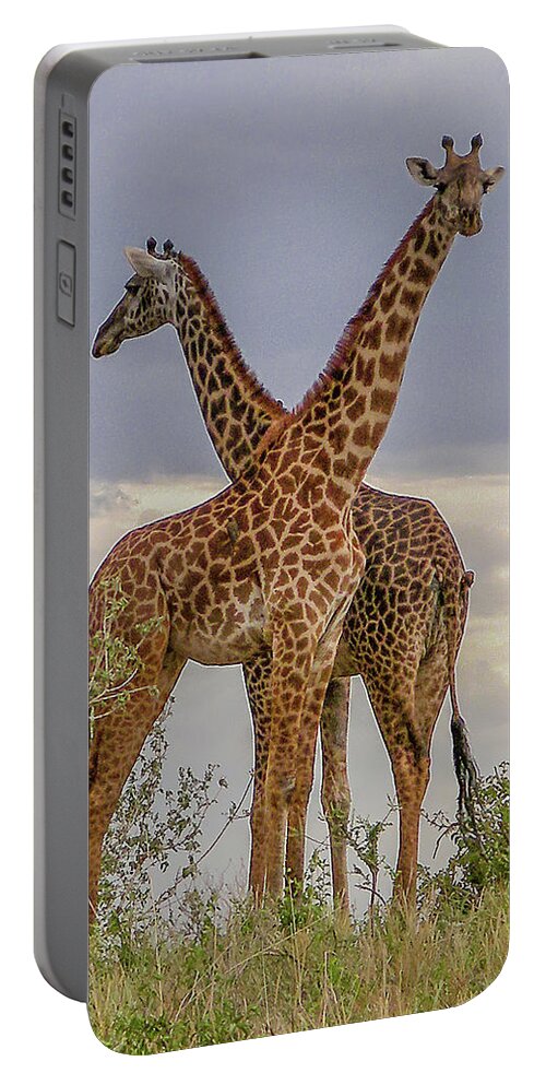 Giraffes Portable Battery Charger featuring the photograph Giraffes by Andrew Wilson