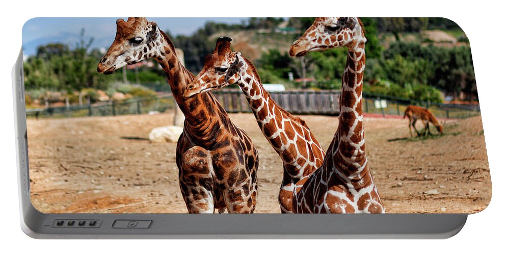 Animals Portable Battery Charger featuring the photograph Giraffes in the zoo by Constantinos Iliopoulos