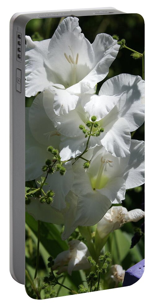  Portable Battery Charger featuring the photograph Gladiolus by Heather E Harman