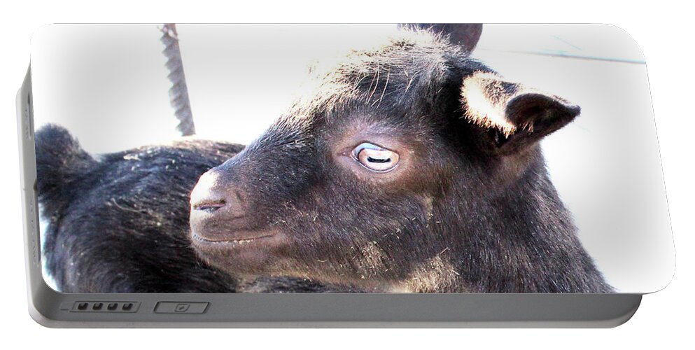 Baby Goats Portable Battery Charger featuring the photograph Gladys by Doug Miller