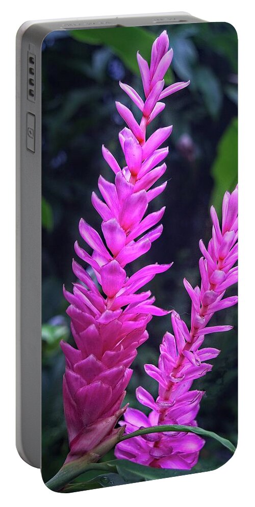 Beautiful Portable Battery Charger featuring the photograph Glory In Pink by David Desautel
