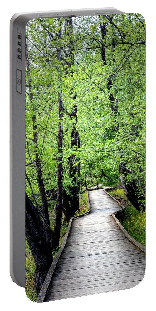 Dock Portable Battery Charger featuring the photograph Glowing Spring Walk by Debra and Dave Vanderlaan