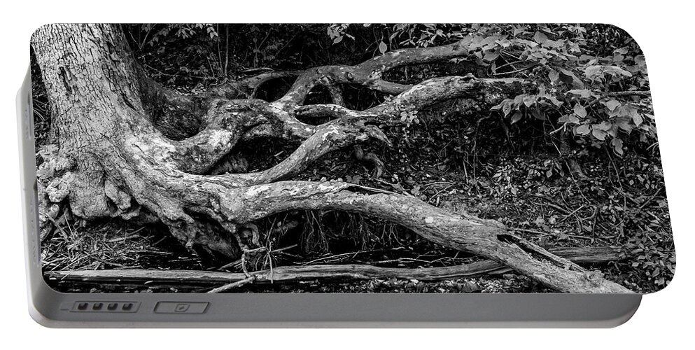 Tree Roots Portable Battery Charger featuring the photograph Gnarled Roots of Life by Harold Rau