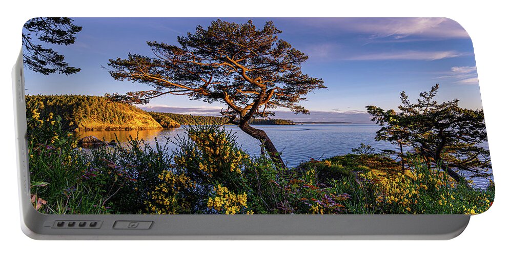 Tree Portable Battery Charger featuring the photograph Gnarly Tree by Gary Skiff