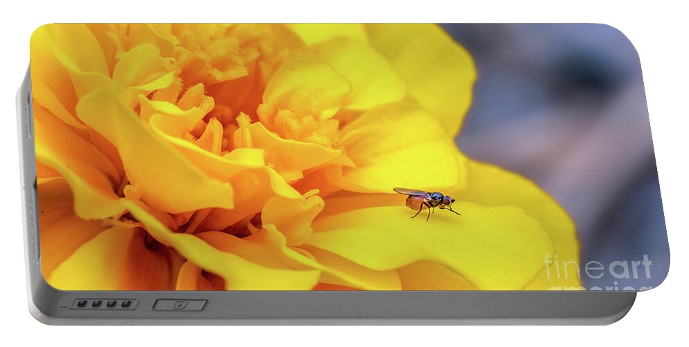 Gnat Portable Battery Charger featuring the photograph Gnat On A Yellow Flower by Gemma Mae Flores Sellers