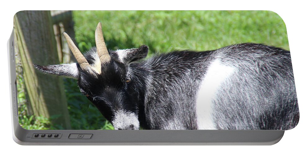 Goat Portable Battery Charger featuring the photograph Goat With An Attitude by Demetrai Johnson