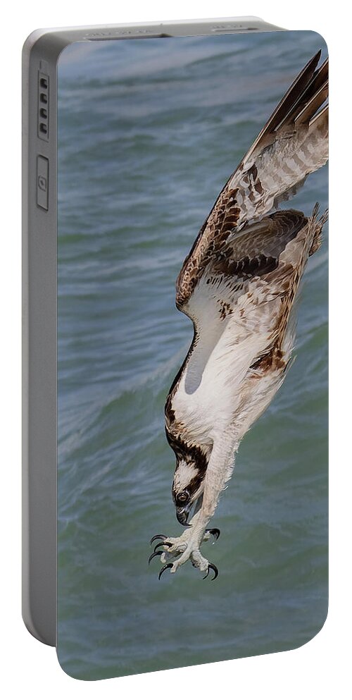 Osprey Portable Battery Charger featuring the photograph Going In by RD Allen