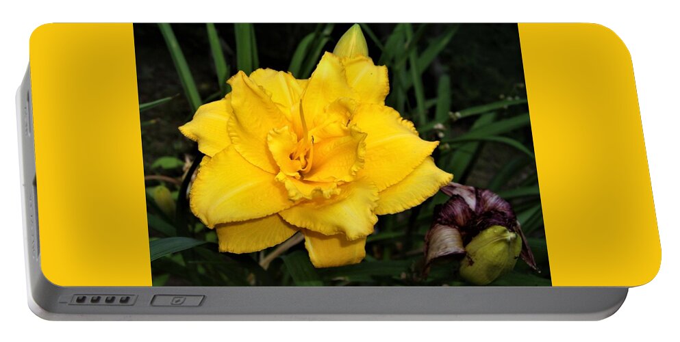Flower Portable Battery Charger featuring the photograph Gold Ruffled Day Lily by Nancy Ayanna Wyatt