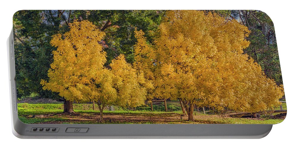 Tree Portable Battery Charger featuring the photograph Golden Ash Trees #2 by Elaine Teague