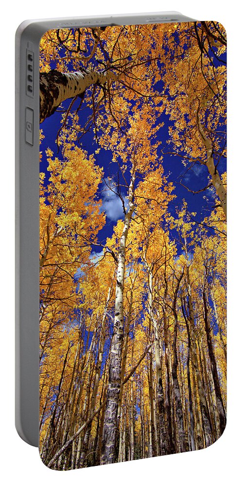 Fall Colors Portable Battery Charger featuring the photograph Golden Aspens by Bob Falcone