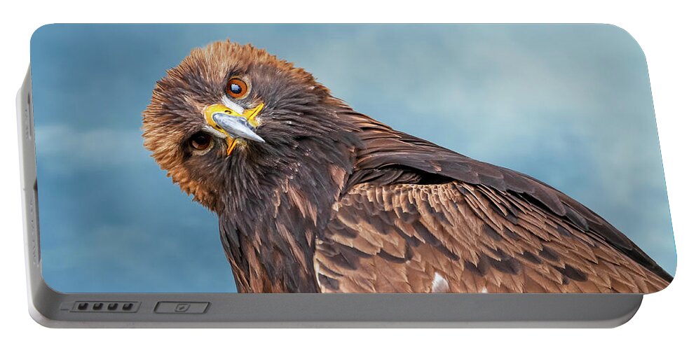 Golden Eagle Portable Battery Charger featuring the photograph Golden Blues by Nina Stavlund