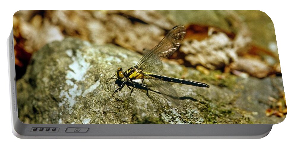 S_7ab3a5hkf032 Portable Battery Charger featuring the photograph Golden Dragonfly on a moss and Lichen Covered Rock by Douglas Barnett