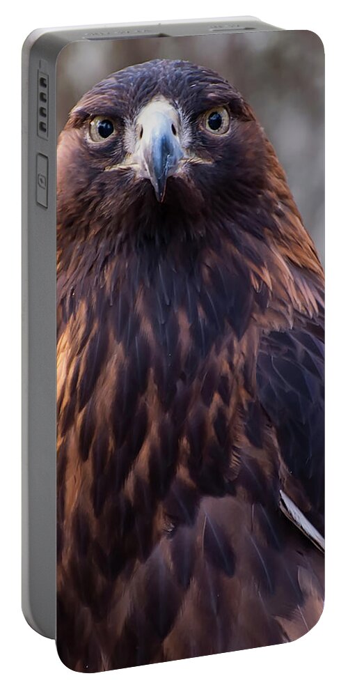 Eagle Pictures Portable Battery Charger featuring the photograph Golden eagle 4 by Flees Photos