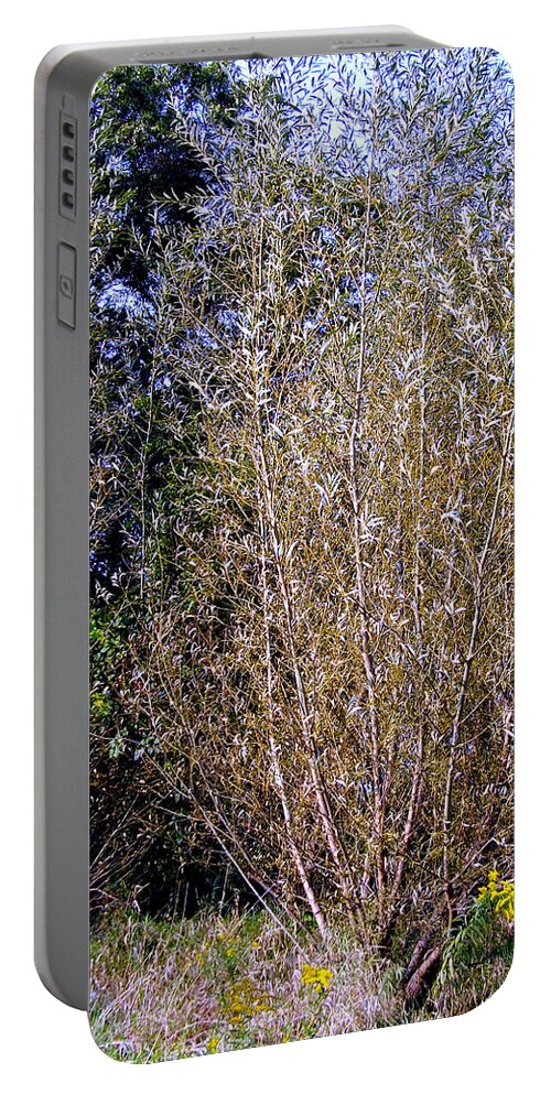 Sunset Portable Battery Charger featuring the photograph Golden Hour Sunset Trees and Flowers - Square by Frank J Casella