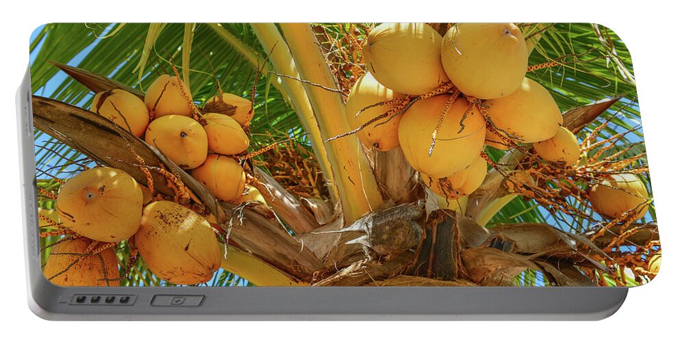 Palm Tree Portable Battery Charger featuring the photograph Golden Malayan Dwarf Coconuts by Olga Hamilton
