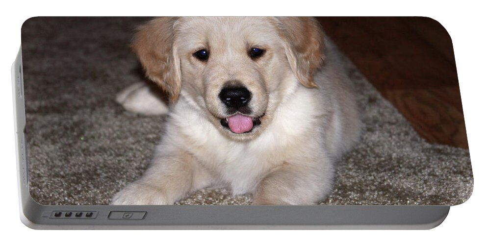 Animal Portable Battery Charger featuring the photograph Golden Retriever Puppy by Dawn Richards