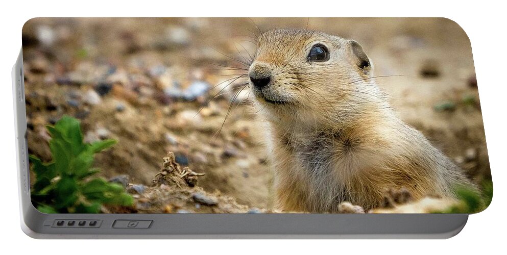 Gopher Portable Battery Charger featuring the photograph Gopher by Darcy Dietrich