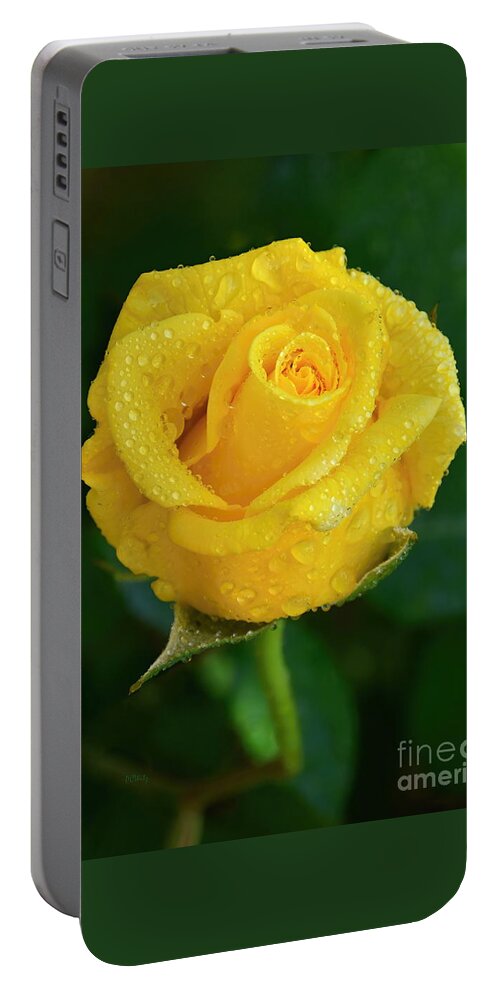 Gorgeous Misty Yellow Rose Portable Battery Charger featuring the photograph Gorgeous Misty Yellow Rose by Patrick Witz