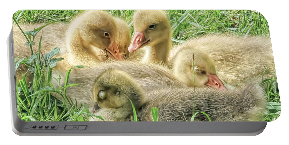 Gosling. Goose Portable Battery Charger featuring the photograph Goslings in a Grassy Field by Susan Hope Finley