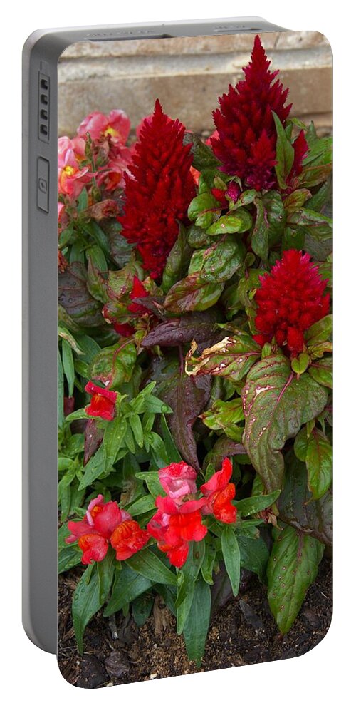 Red Portable Battery Charger featuring the photograph Grand Daughter's Flowers by C Winslow Shafer