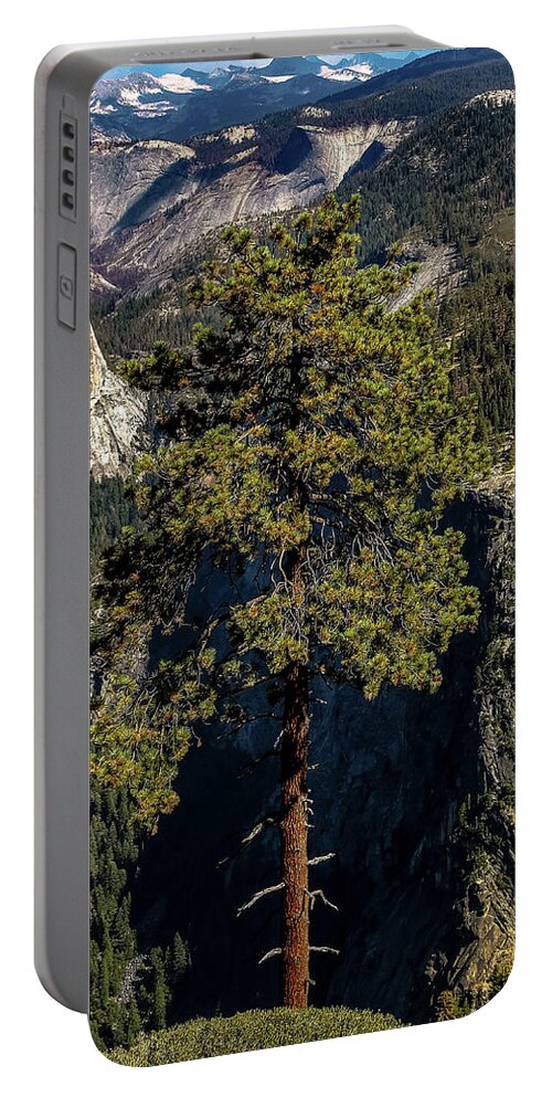 Tree Portable Battery Charger featuring the photograph Grand Tree by Pam Rendall