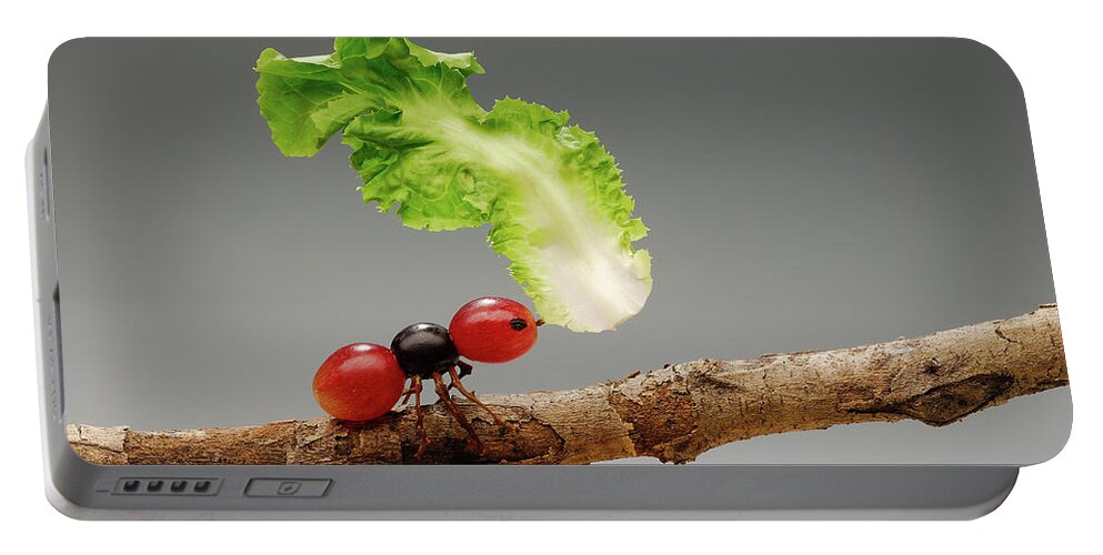 Ant Portable Battery Charger featuring the photograph Grape Ant by Cacio Murilo De Vasconcelos
