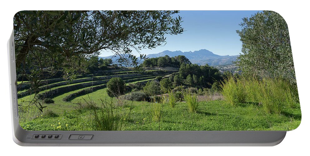 Landscape Portable Battery Charger featuring the photograph Grass and clover under the olive tree by Adriana Mueller