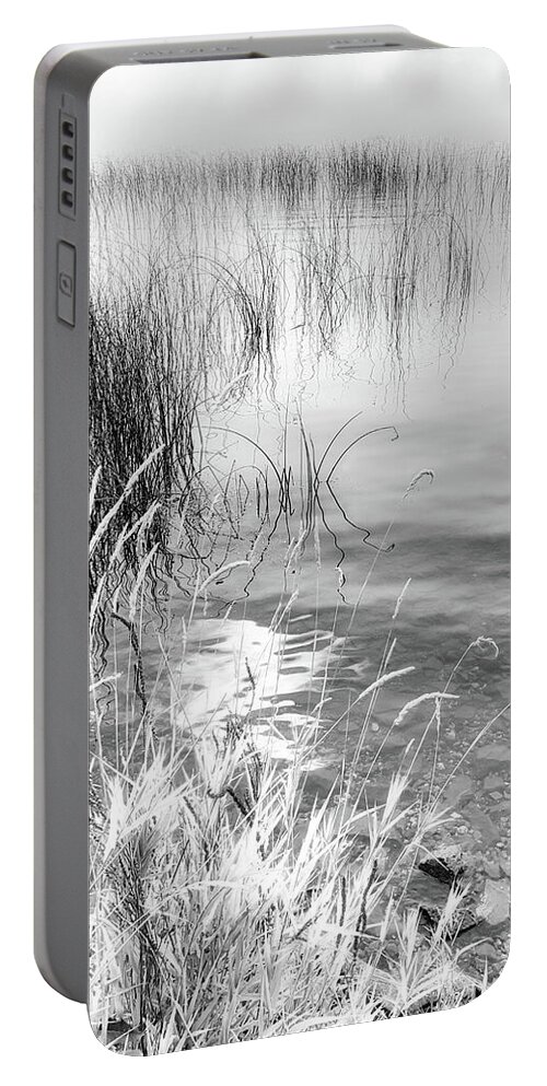 Black And White Photography Portable Battery Charger featuring the photograph Grasses and Reeds Black and White by Allan Van Gasbeck